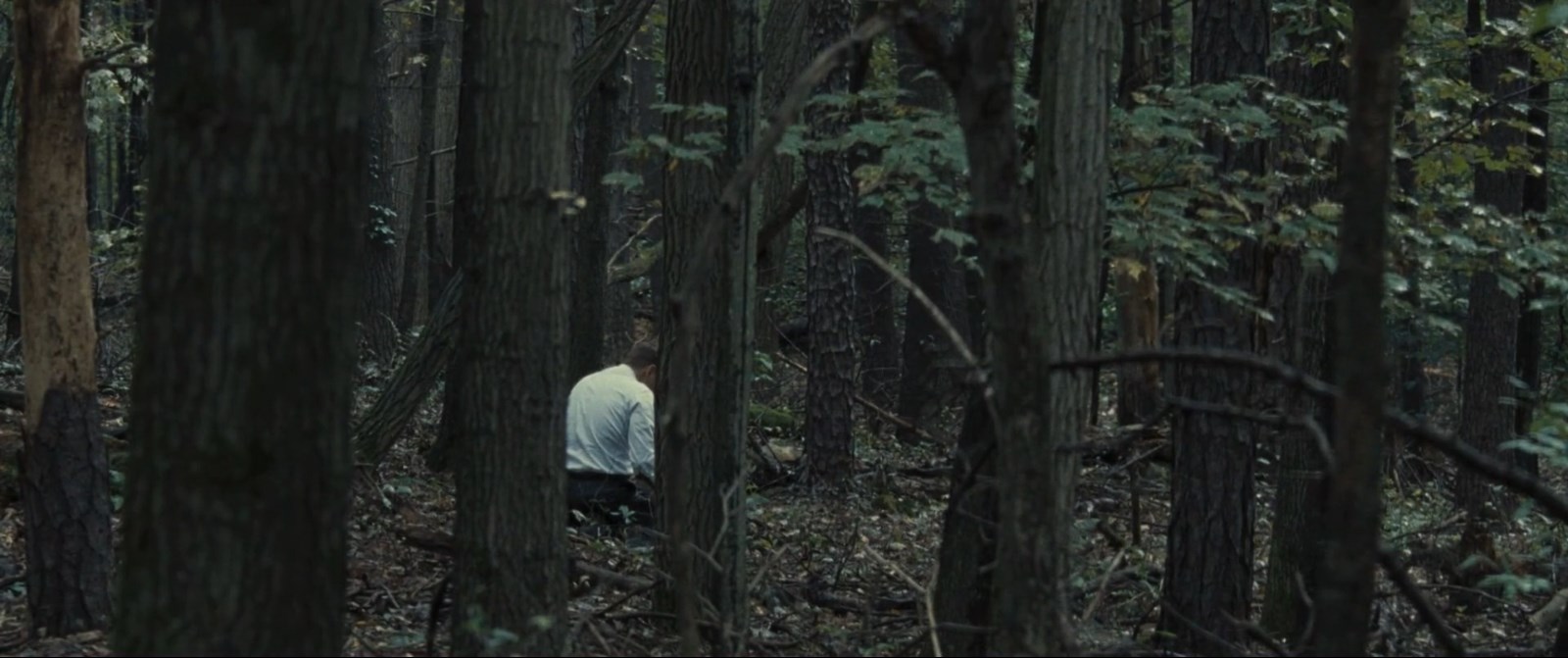 The Place Beyond the Pines